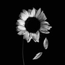 Adele.wade - @Adelewade19 - Twitter