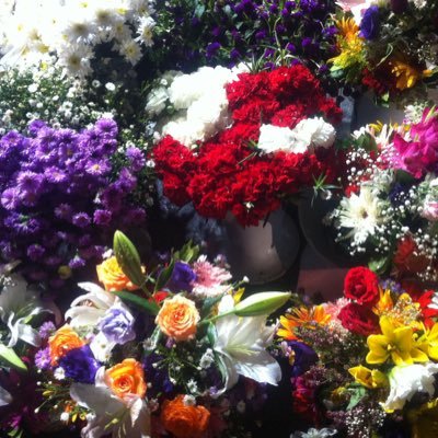 kamilshanfari's profile picture. ✨الضمائر الحية لاتملك أجفان✨