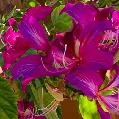 LoanDao13's profile picture. mom, wife, dentist, fitness fanatic, enjoys day trading