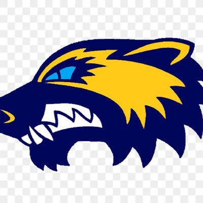 Minor League Pro team based out of Raleigh, NC.