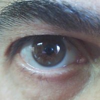 Tuitero K (@cadavezmask) 's Twitter Profile Photo Tuitero K (@cadavezmask) 's Twitter Profile Photo