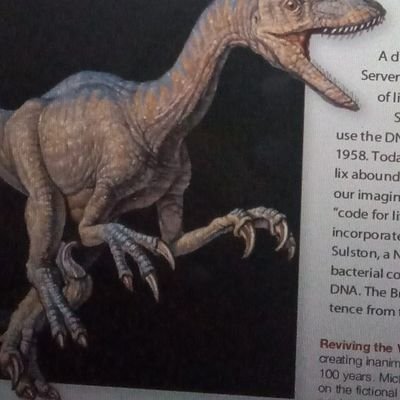 HiiLitty's profile picture. x