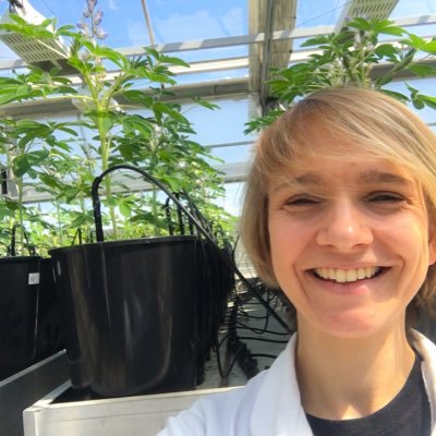 PhD student in Legume Genomics Team, IPG PAS, Poznan. Interest in biology & genetics of lupins, especially QAs synthesis.
https://t.co/pJJvEqSQBU