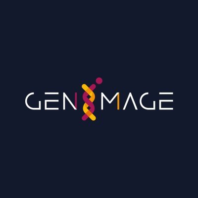 🧬 École supérieure (Bachelor et Mastère)
• Programmation Jeux Vidéo
• Manga, BD, Illustration
• Graphisme film d’animation 3D et jeux vidéo