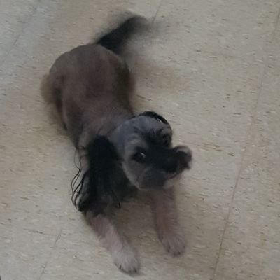 socky36111's profile picture. Tecnica Automotriz c fuel injection