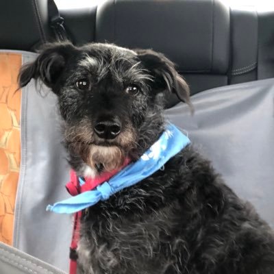 ccisle's profile picture. 