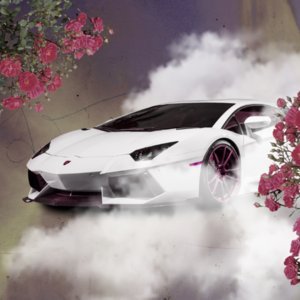 daytona_dani's profile picture. wassup there