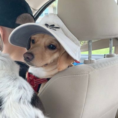 MLoGuidice's profile picture. @jadanazzaro