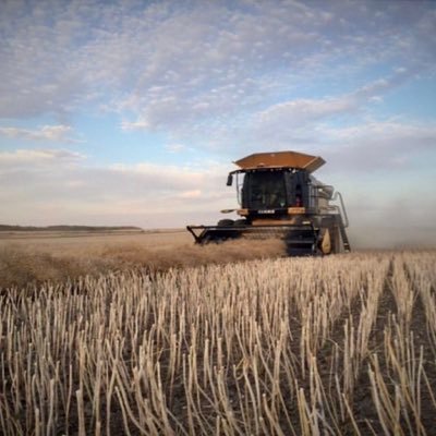 SE Sask | U of S Agro | All tweets are my own
