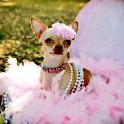 Katya12660699's profile picture. hii