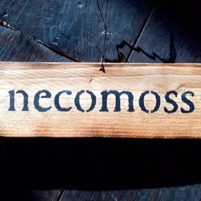 生産/小売販売/卸販売 栽培場は非公開です。necomossは根っこ+苔です。主にビカクシダ, お問い合わせは→ necomoss.ii@gmail.com