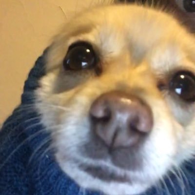 Kill Me Memes Killmememes3 Twitter