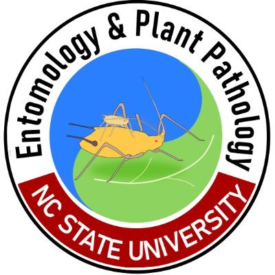 Department of Entomology and Plant Pathology | We advance research, extension, and teaching of plant pathogens and insects | @NCState @NCStateCALS #ThinkAndDo