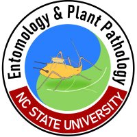 NCSU Entomology & Plant Pathology(@NCSU_DEPP) 's Twitter Profile Photo