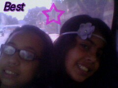 treefriends3's profile picture. 