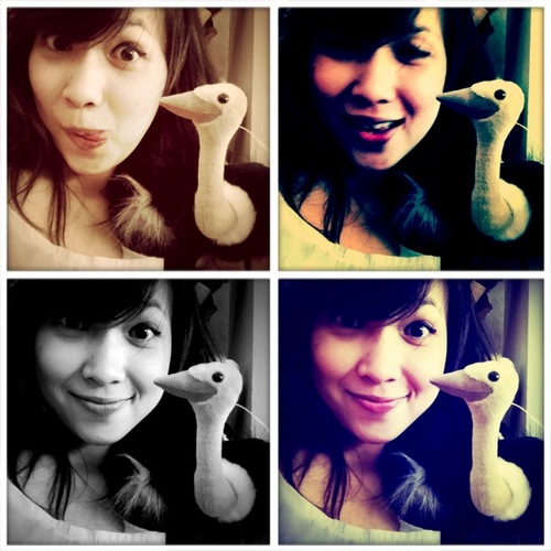 IdFlatron's profile picture. 