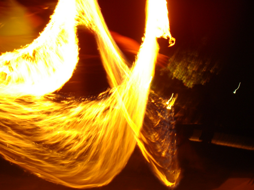 MisaelSh's profile picture. 