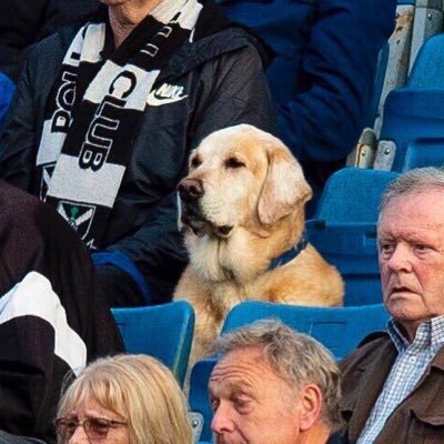 SMASHismyname's profile picture. canes. la rams. celtics 🏆. red sox. come on you blues.