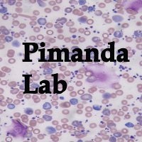 Pimanda Lab (@pimandalab) 's Twitter Profile