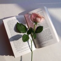 ππ²πΌπͺπ΄π² (@m_flower__11) 's Twitter Profile