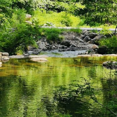 DanielL34665834's profile picture. 