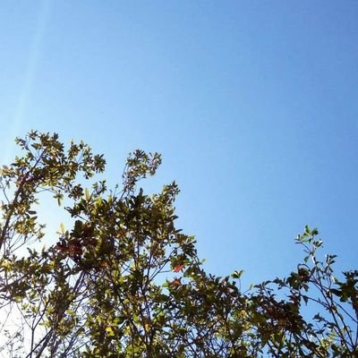 amirarahim_ar's profile picture. M11114521