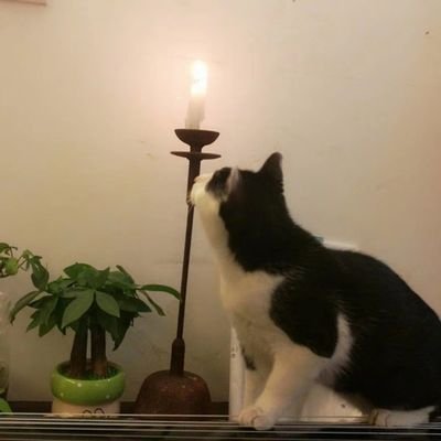 Milton63261806's profile picture. 凡事都有两面，支持我所认同的，尊重我所不认同的。#025 #S