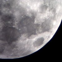 RedCauliflower35 (@culinaryleftist) 's Twitter Profile