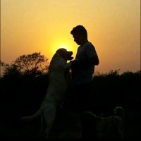 Mahesh Rane (भारत का बच्चा) (@yash_mrane) 's Twitter Profile Photo