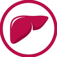 Will Rodgers Liver Health Foundation(@liverhealthfdn) 's Twitter Profile Photo
