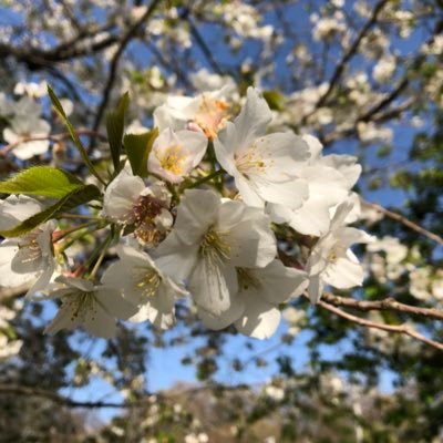 一人暮らしを始めた Adhd Adhd71900716 Twitter
