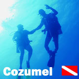 Scuba Dive instructor from Cozumel Island, 20 years experience on scuba trips. Follow me and stay tuned of what happen in Cozumel and some dive tips.