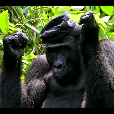 twattersuxz247's profile picture. lets go