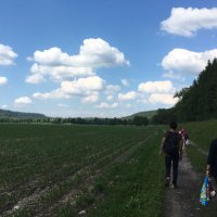 Baoli Zhu (@bzhu01) 's Twitter Profile
