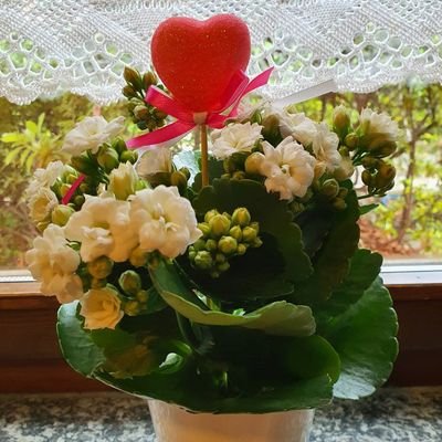 Nelsonm70449140's profile picture. 