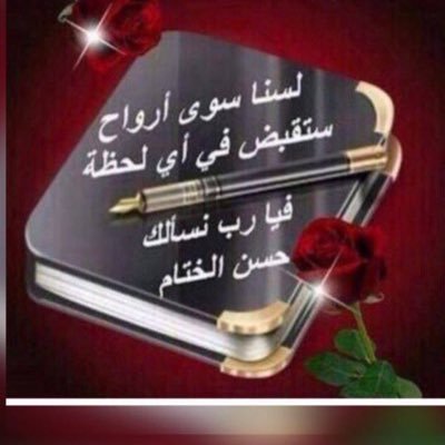 مطوفه في شركة الدول العربيه (اشرقت) وخادمه لضيوف الرحمن 🕋🇸🇦عضوة في مركز صوت الوطن
