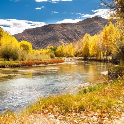 ImBettyShaw's profile picture. 