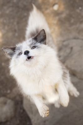 r6xJiUO6XgaZjZd's profile picture. 绘画