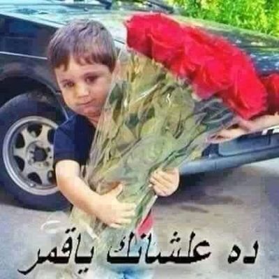 14lf56aXaqMecmN's profile picture. احب الجمال