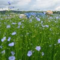 maillard olivier (@oreefom) 's Twitter Profile Photo