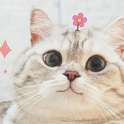 Rigurdさんのプロフィール画像