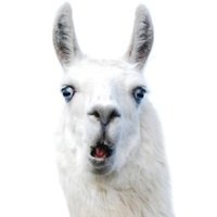 ĐeadGrox (@eadgrox) 's Twitter Profile