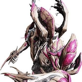 The Wealthy Nidus