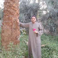 pathwaysEgypt yasser (@yassermostafa89) Twitter profile photo