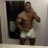 Trenton_men_datings