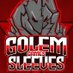Golem Sleeves (@GolemSleeves) Twitter profile photo