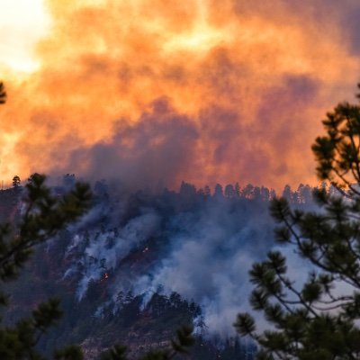 ACRoBEAR Project. Predicting and understanding health risks from wildfire air pollution and natural-focal disease at high latitudes, under rapid climate change.