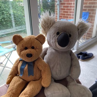 Hi! We’re a couple of teds just helping our human one day at a time, we sneak in their luggage whenever they go travelling too!