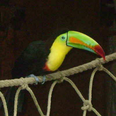 jcrouyer's profile picture. 