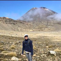 lily_inthefield (@linthefield) 's Twitter Profile